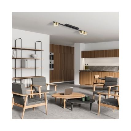 Spot LOGAN 3xGU10/10W/230V noir/doré