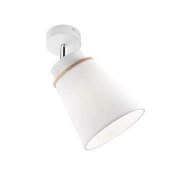 Spot mural AGUSTINO 1xE27/60W/230V