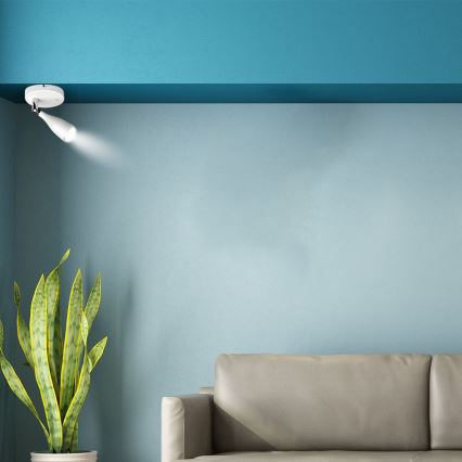 Spot mural avec un interrupteur LED/4,5W/230V 3000K blanc