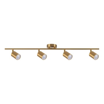 Spot orientable GOLDIE 4xGU10/10W/230V doré
