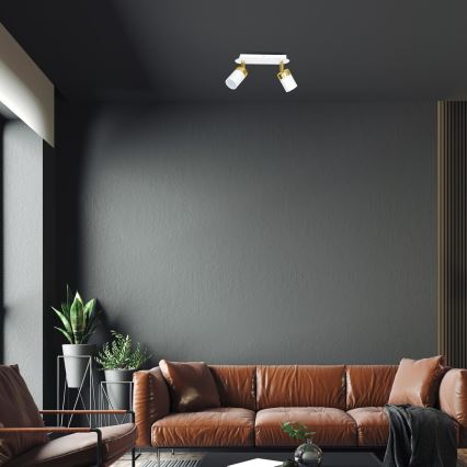 Spot orientable JOKER 2xGU10/25W/230V blanc/doré