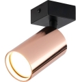 Spot orientable PUNTO 1xGU10/9W/230V, finition or rose