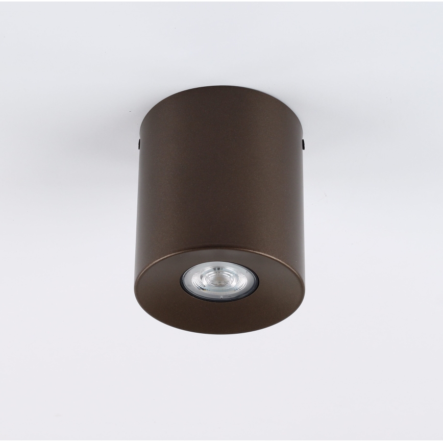 Spot ORION 1xGU10/10W/230V 12,5 cm marron