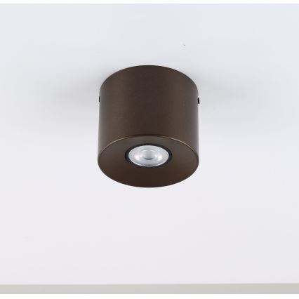 Spot ORION 1xGU10/10W/230V 9 cm marron