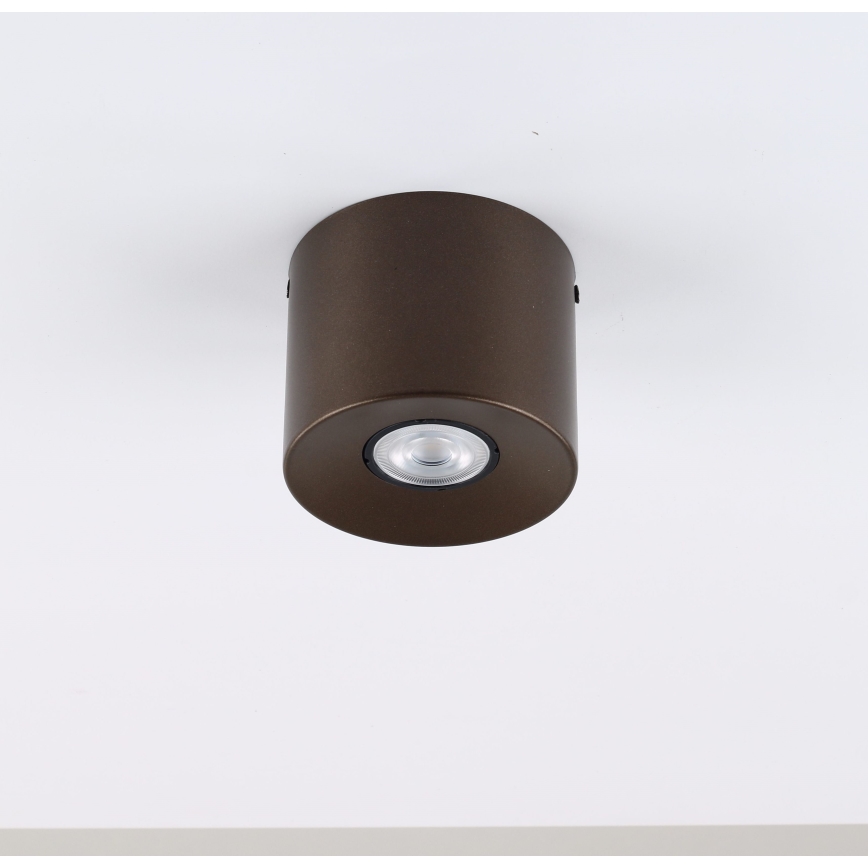 Spot ORION 1xGU10/10W/230V 9 cm marron