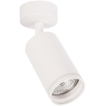 Spot PIPE 1xGU10/10W/230V blanc