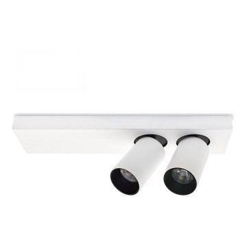 Spot plafonnier LED BERGEN 2xLED/11W/230V