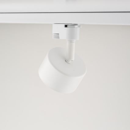 Spot pour système de rail monophasé AVIA 1xGX53/15W/230V blanc