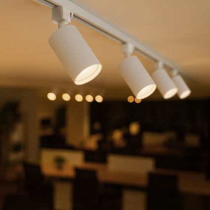 Spot pour système sur rail monophasé TIGER 1xGU10/10W/230V blanc