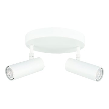 Spot ROSETTE 2xGU10/7W/230V blanc