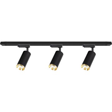 Spot sur rail MICA 3xGU10/10W/230V noir/doré