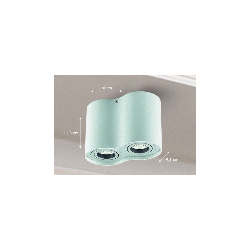Spot TUBA 1xGU10/50W/230V blanc