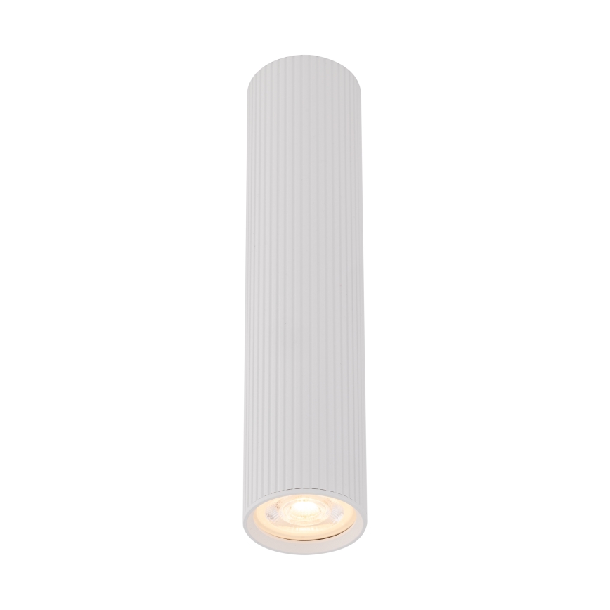 Spot TUNE L 1xGU10/10W/230V 24 cm blanc