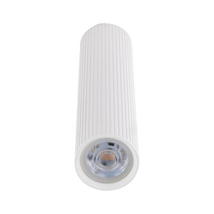 Spot TUNE L 1xGU10/10W/230V 24 cm blanc
