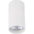 Spot TUNE S 1xGU10/10W/230V 10 cm blanc