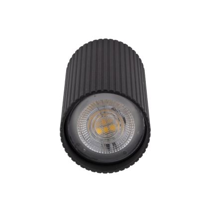 Spot TUNE S 1xGU10/10W/230V 10 cm noir