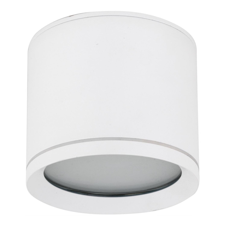 Spot VIVO 1xGX53/10W/230V 10 cm blanc