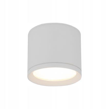 Spot VIVO 1xGX53/10W/230V 10 cm blanc