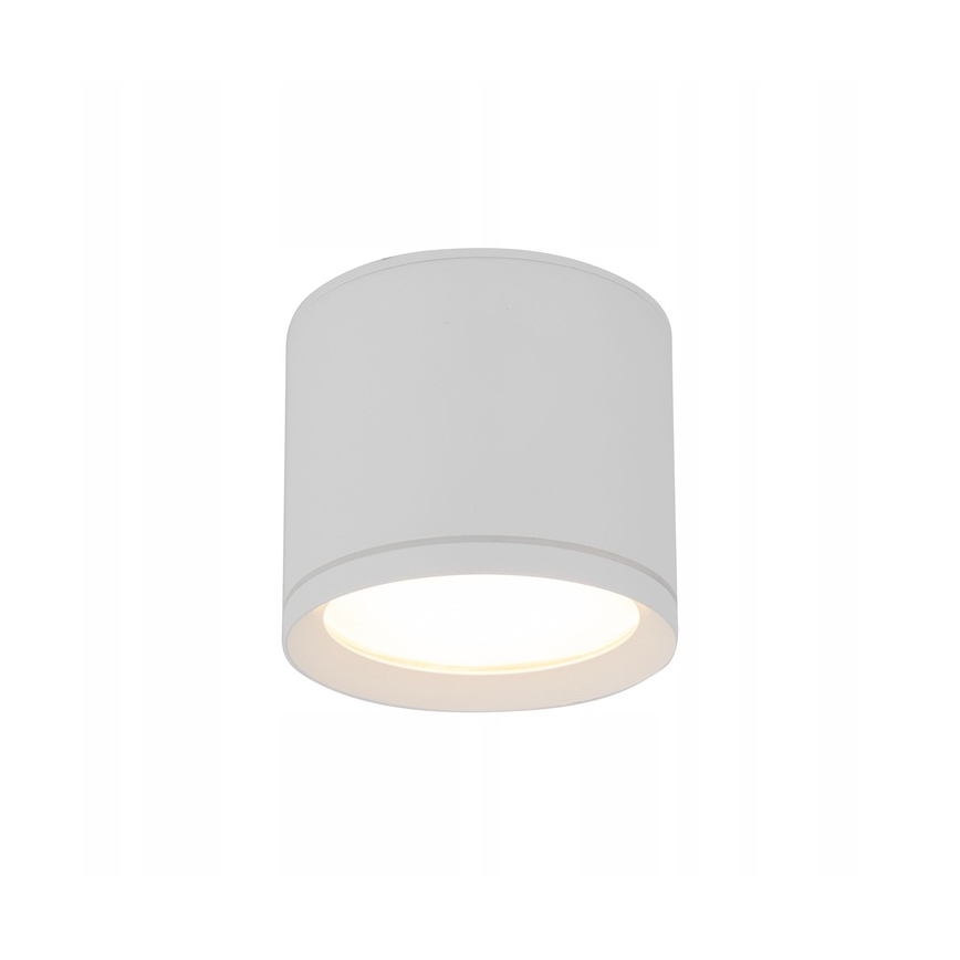 Spot VIVO 1xGX53/10W/230V 10 cm blanc