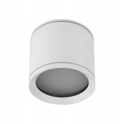 Spot VIVO 1xGX53/10W/230V 10 cm blanc
