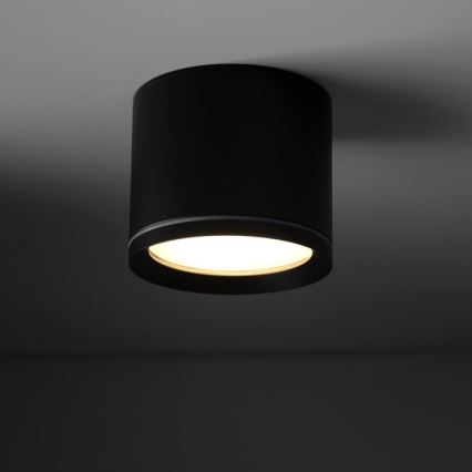 Spot VIVO 1xGX53/10W/230V 6 cm noir