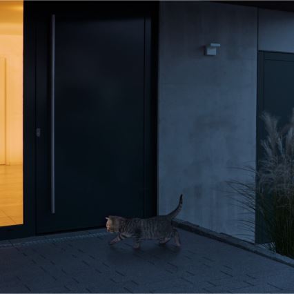 STEINEL 007591 - Détecteur de mouvement extérieur iHF 3D anthracite IP54