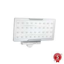 STEINEL 010218 - projecteur LED extérieur avec détecteur LED/24,8W/230V blanc IP54