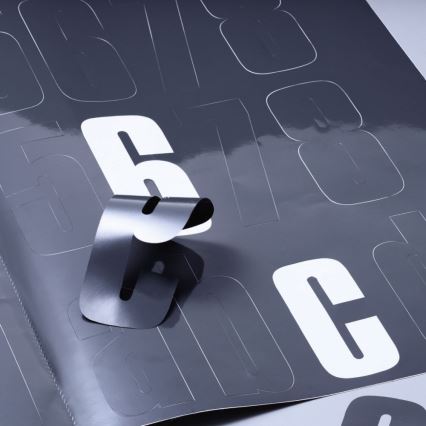 STEINEL 010454 - Luminaire LED extérieur avec détecteur L220LED LED/7,5W inoxydable IP44