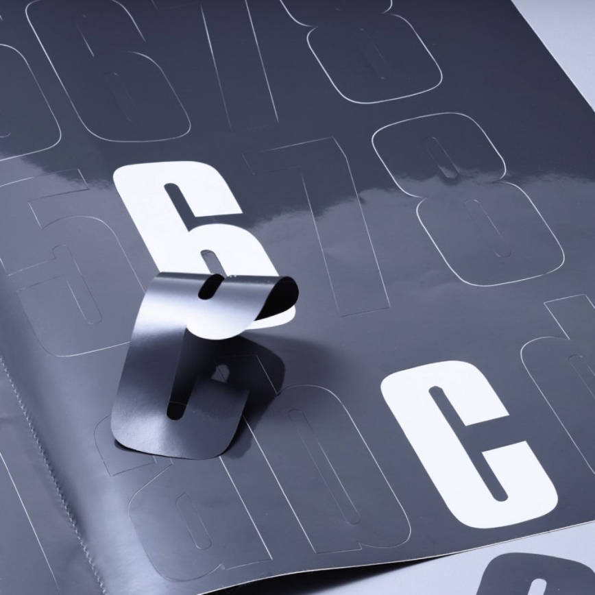 STEINEL 010454 - Luminaire LED extérieur avec détecteur L220LED LED/7,5W inoxydable IP44