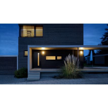 STEINEL 033255 - Luminaire LED extérieur avec détecteur L244LED LED/7,5W/230V IP44