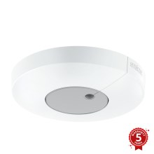 STEINEL 033651 - Détecteur crépusculaire Light Sensor Dual KNX blanc