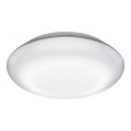 Steinel 035440 - Luminaire LED extérieur avec détecteur QUATTRO LED/10W/230V IP54