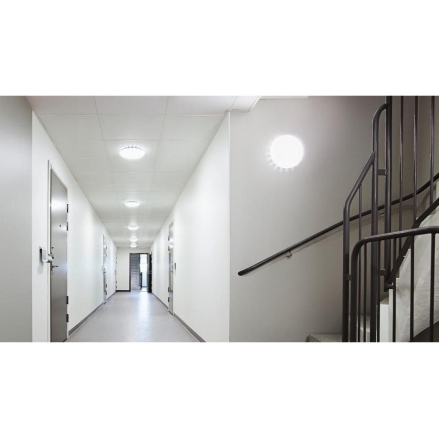 Steinel 035853 - Plafonnier avec détecteur RS PRO LED/26W/230V 3000K