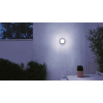 STEINEL 053079 - LED Applique murale extérieure avec détecteur L330 LED/9W/230V 3000K IP44