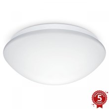 Steinel 056131 - Luminaire de salle de bain RS PRO LED P3 LED/19,5W/230V IP54 3000K
