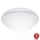 Steinel 056131 - Luminaire de salle de bain RS PRO LED P3 LED/19,5W/230V IP54 3000K