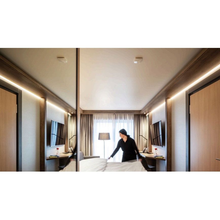 STEINEL 056339 - Détecteur de mouvement TRUE PRESENCE KNX