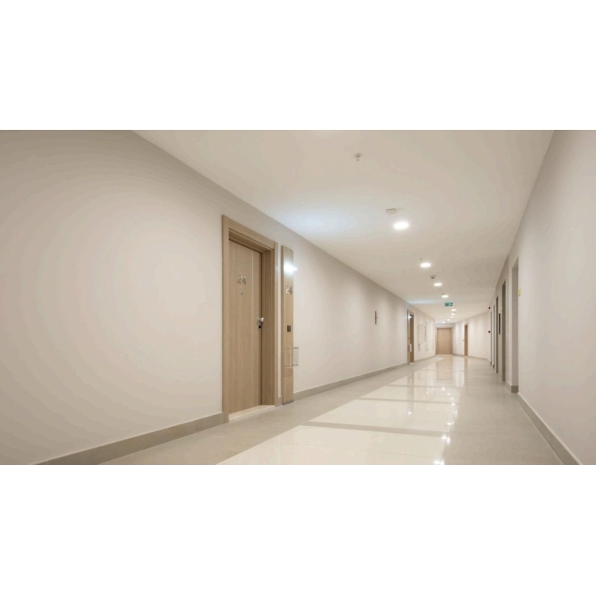 Steinel 057305 - Détecteur de mouvement IS 345 DALI-2 IPD rond blanc