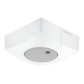 Steinel 057411 - Détecteur de lumière DUAL-E DALI2 carré blanc
