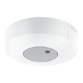 Steinel 057428 - Détecteur de lumière DUAL-R DALI2 arrondi blanc