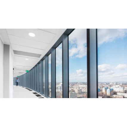 Steinel 058036 - Détecteur de présence Couloir KNX blanc