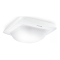 Steinel 064396 - Détecteur de présence encastrable IR QUATTRO HD-2 BT-IPD