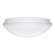 STEINEL 065591 - Luminaire de salle de bain LED avec capteur RS PRO LED/9,5W/230V 3000K IP54