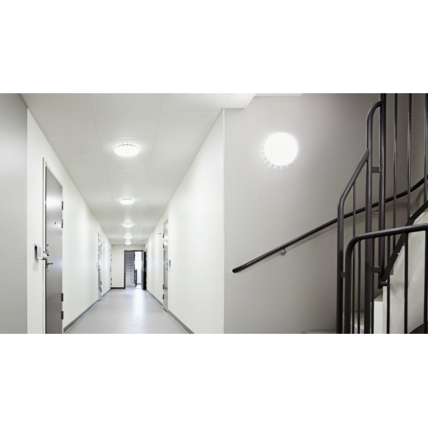 Steinel 068059 - Plafonnier LED avec détecteur RS PRO S30 SC 25,8W/230V 3000K