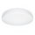 Steinel 079734 - Plafonnier LED avec détecteur RS 20 S LED/9,4W/230V 3000K IP44