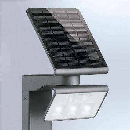 Steinel 085681 - Lampe solaire d'extérieur LED avec détecteur XSolar GL-S LED/1,2W/2500 mAh IP44