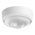 Steinel 086909 - Détecteur de mouvement extérieur MD IR 4360-8 COM1 UP WS IP54 blanc