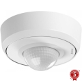 Steinel 087821 - Détecteur de mouvement extérieur avec détecteur de présence PD-24 ECO COM1 360° IP54 blanc