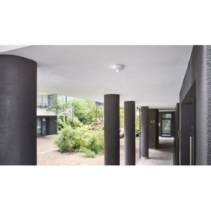 Steinel 087951 - Détecteur de mouvement extérieur avec un détecteur de présence PD-8 ECO KNX 360° IP54 blanc