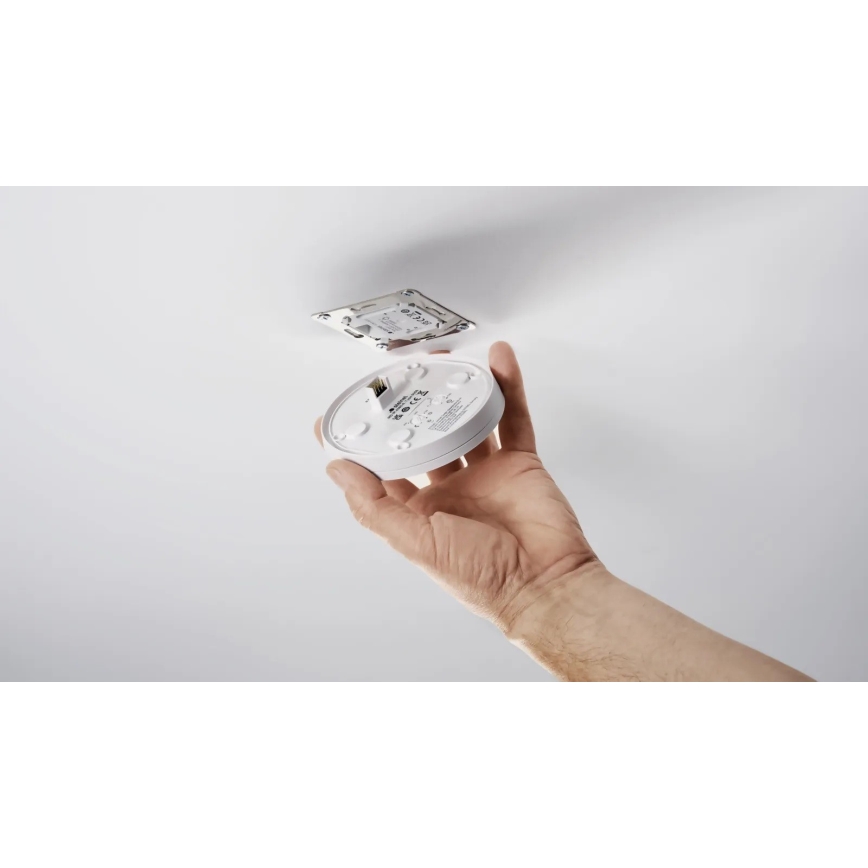 Steinel 087982 - Détecteur de mouvement avec un détecteur de présence PD-8 ECO KNX 360° noir